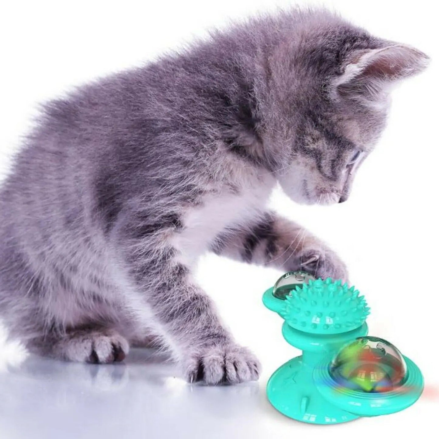 Windmill Fidget Spinner Cat LED Toy is available at Adorable Pet Supply.