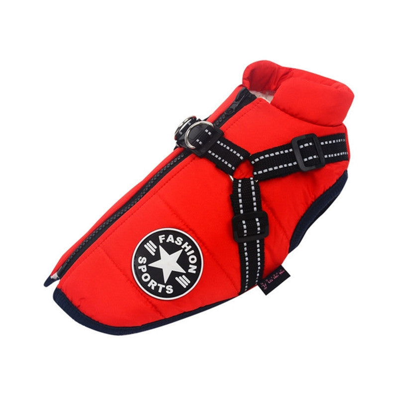A fashionable sporty dog jacket for the winter available at Adorable Pet Supply.