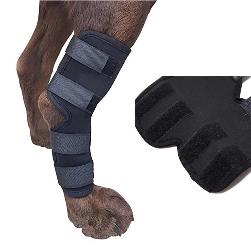 Dog Leg Brace can be purchase at Adorable Pet Supply.