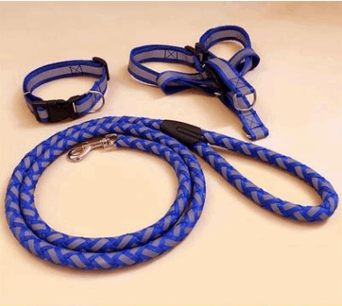 A reflective colorful dog leash and harness is available at Adorable Pet Supply.