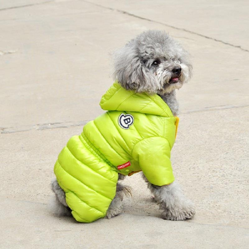 A Winter Doggie Down coat with bright colors and warm enough for the winter.