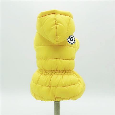 A Winter Doggie Down coat with bright colors and warm enough for the winter.