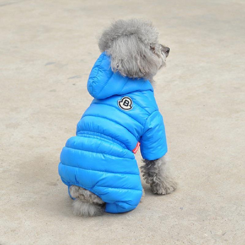 A Winter Doggie Down coat with bright colors and warm enough for the winter.