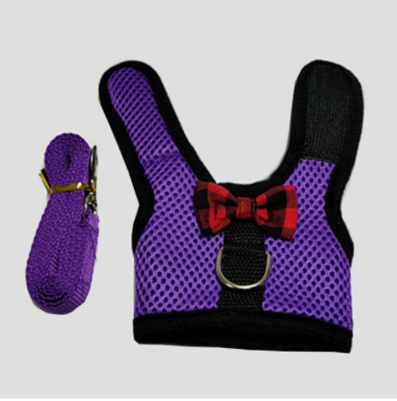 The cutest rabbit vest and leash is available at Adorable Pet Supply.