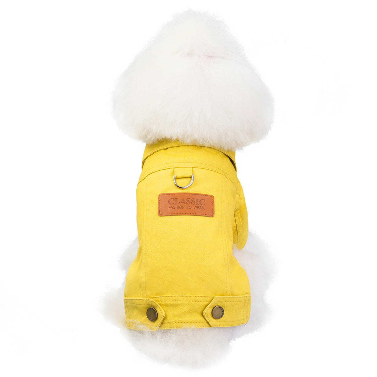 The cutest Doggy Rugged Jacket available at Adorablepet Supply.