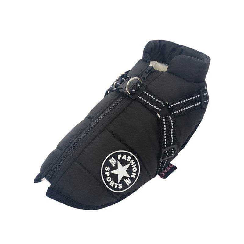A fashionable sporty dog jacket for the winter available at Adorable Pet Supply.