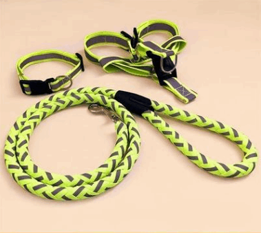 A reflective colorful dog leash and harness is available at Adorable Pet Supply.