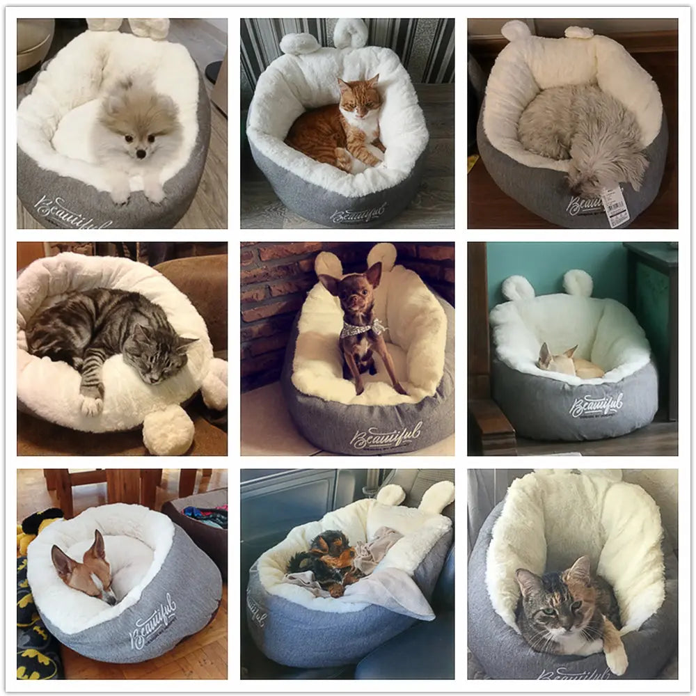 Pet Bed Sleeping Cushion available for at Adorable Pet Supply.
