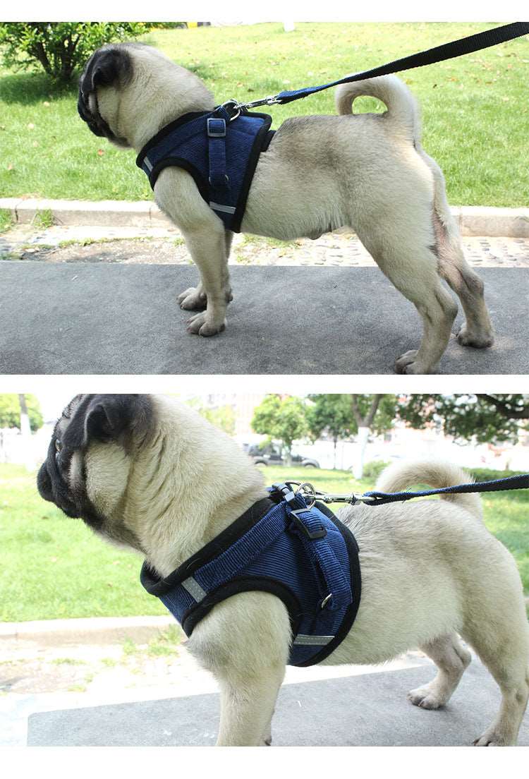 Reflective Vest Harness & Leash