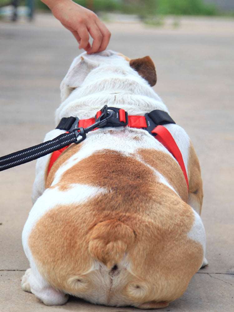 Copenhagen Dog Harness | Mesh Dog Harness