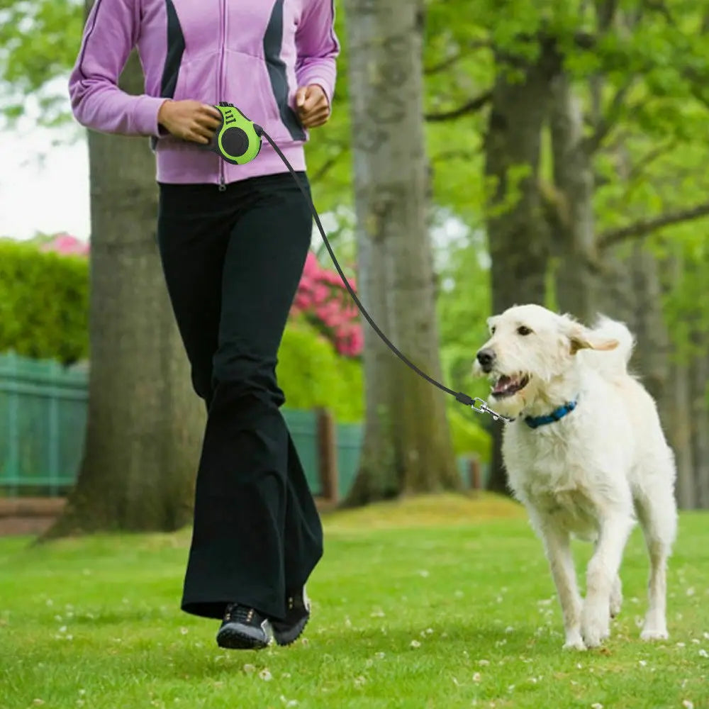 Automatic Retractable Dog Leash | Extendable Pet Leash