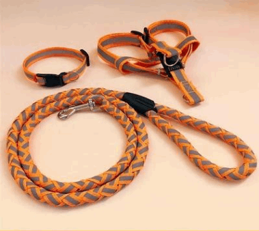 A reflective colorful dog leash and harness is available at Adorable Pet Supply.
