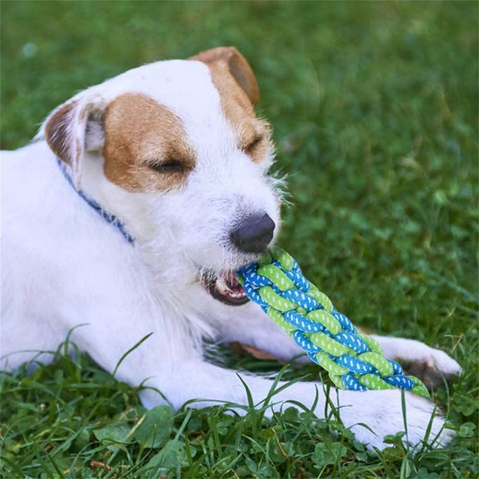 Puppy Ten Teething Boredom Toys available at Adorable  Pet Supply.