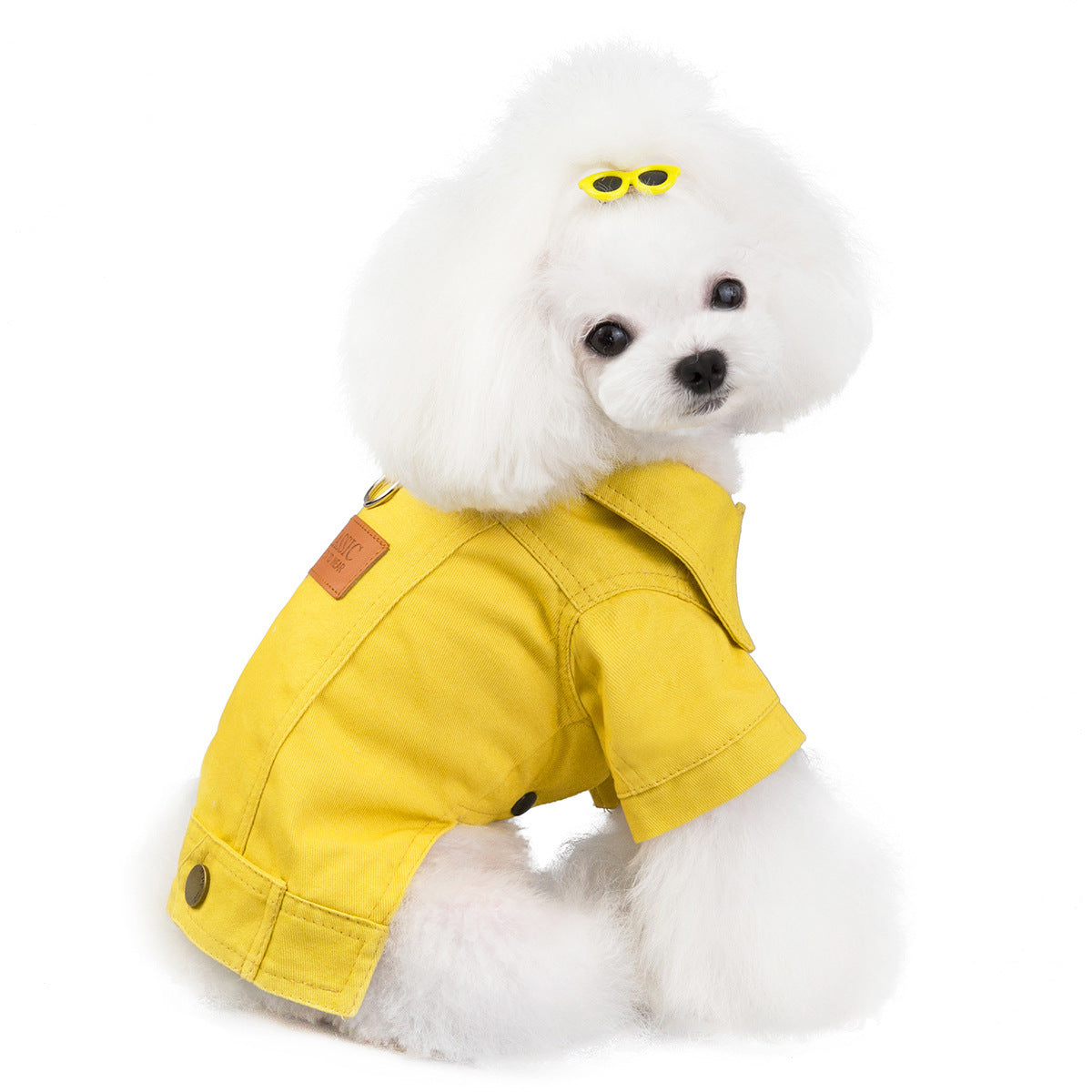 The cutest Doggy Rugged Jacket available at Adorablepet Supply.