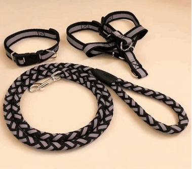 A reflective colorful dog leash and harness  is available at Adorable Pet Supply.