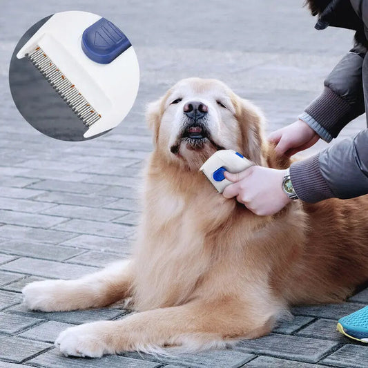 Electric Flea Comb for Dogs | Electric Lice Killer for Pets