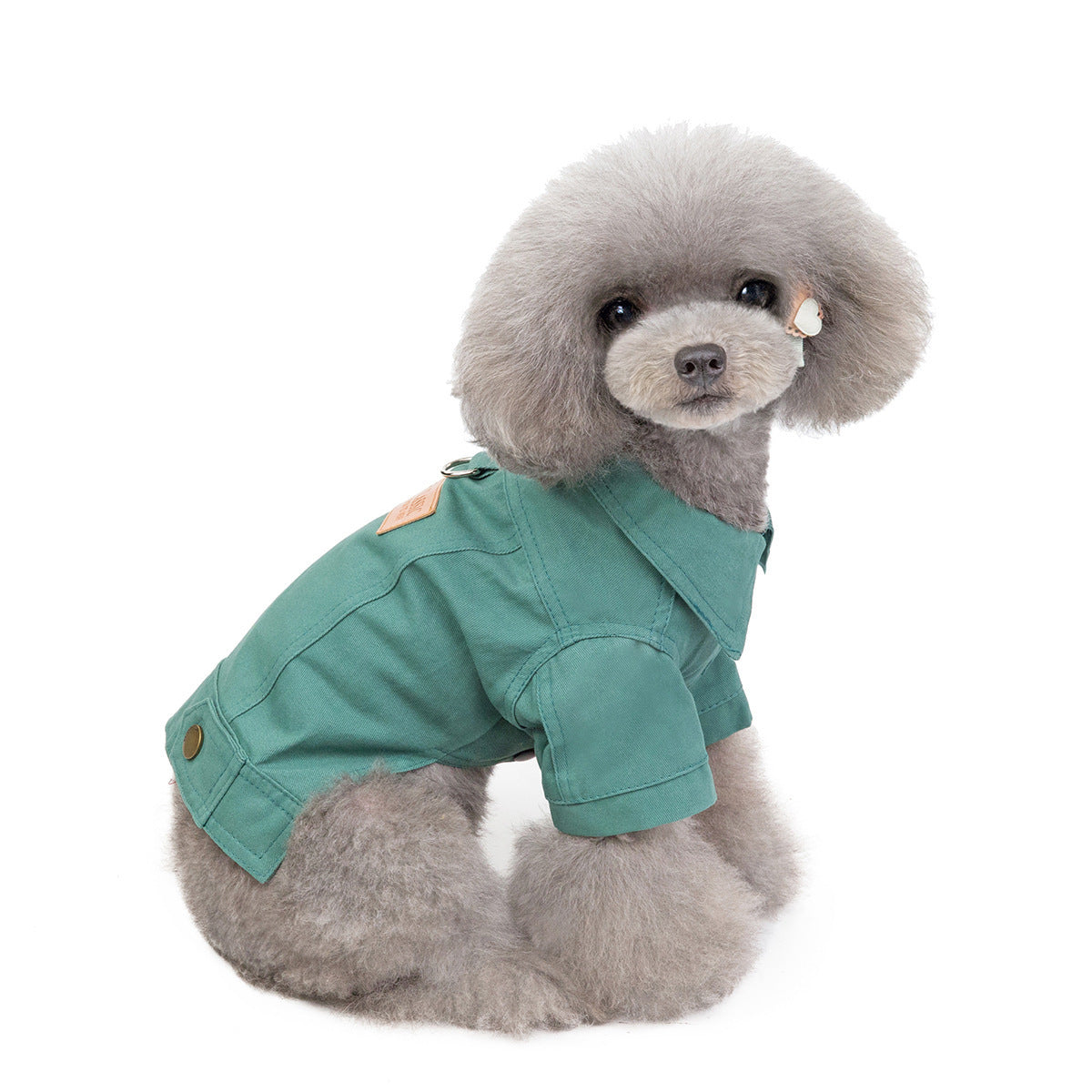 The cutest Doggy Rugged Jacket available at Adorablepet Supply.