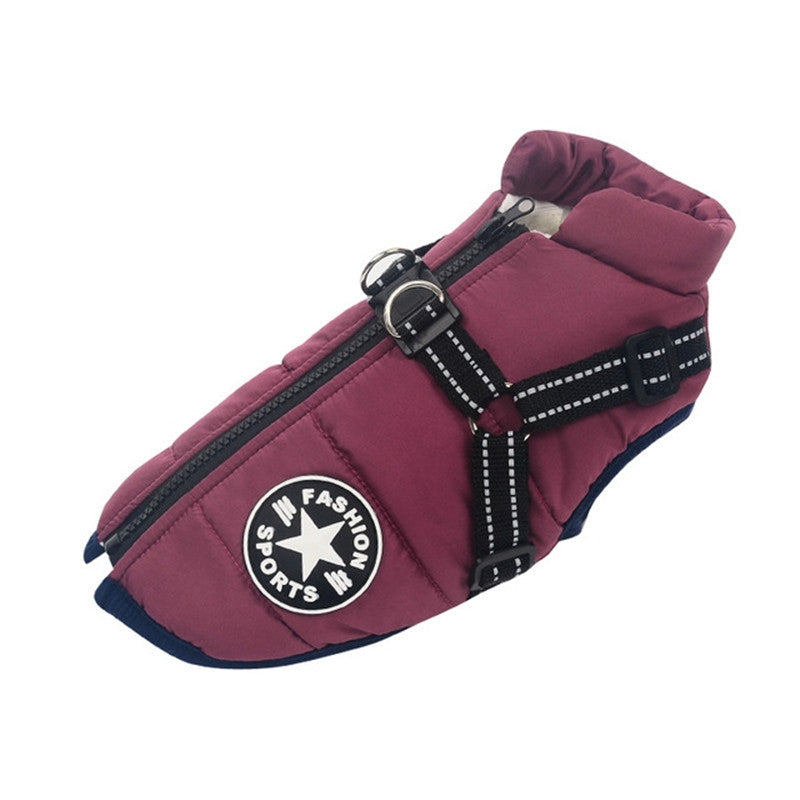 A fashionable sporty dog jacket for the winter available at Adorable Pet Supply.