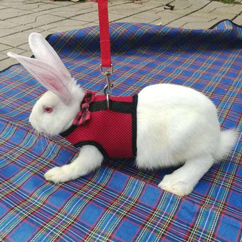 Rabbit Vest Harness | Bunny Vest Harness