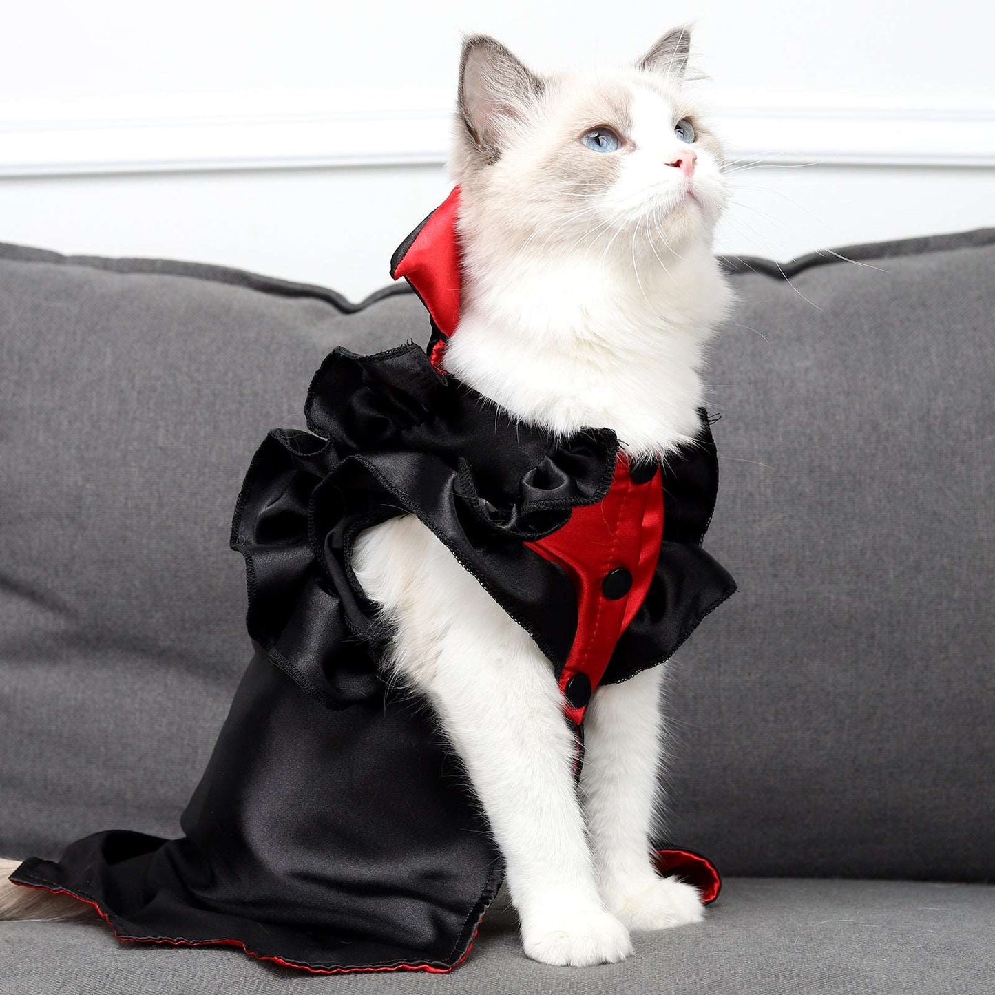 A Vampire cat costume available at Adorable Pet Supply.