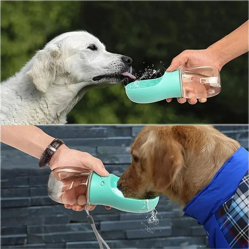 Portable Dog Water Bottle Feeder available at Adorable Pet Supply.