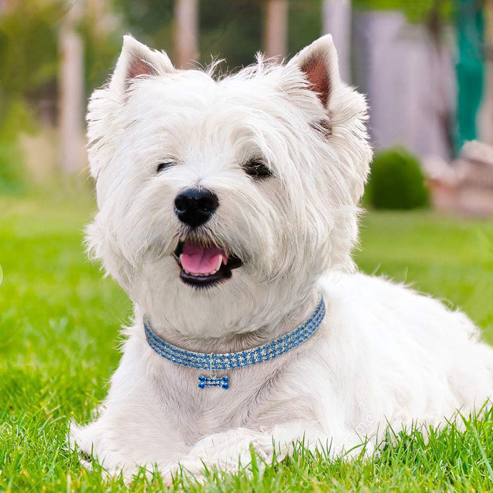Rhinestone Dog Collars | Bling Dog Collars
