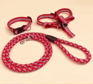A reflective colorful dog leash and harness is available at Adorable Pet Supply.