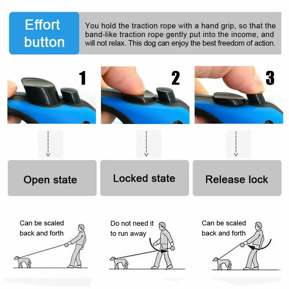 Automatic Retractable Dog Leash in multiple colors.