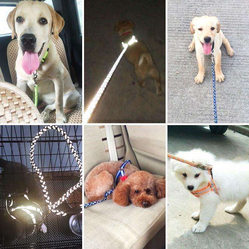A reflective colorful dog leash and harness  is available at Adorable Pet Supply.
