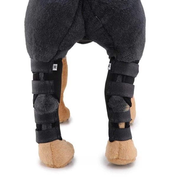 Dog Leg Brace can be purchase at Adorable Pet Supply.