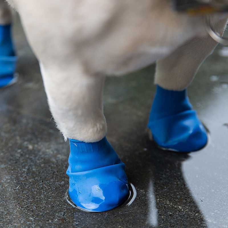 Colorful Doggie Balloon Shoes are available at Adorable Pet Supply.