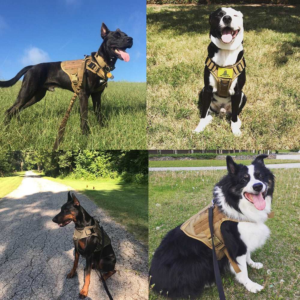 A military tactical dog harness perfect for a large dogs and available at Adorable Pet Supply.