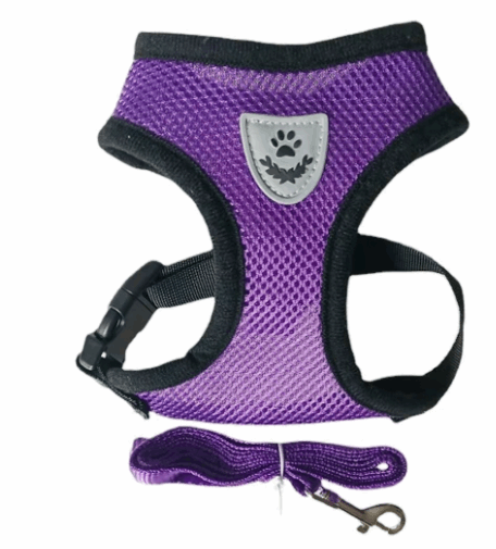 A colorful expandable harness and leash combo available at Adorable Pet Supply.