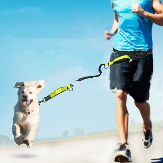 Dog Traction Leash is available at Adorable Pet Supply.