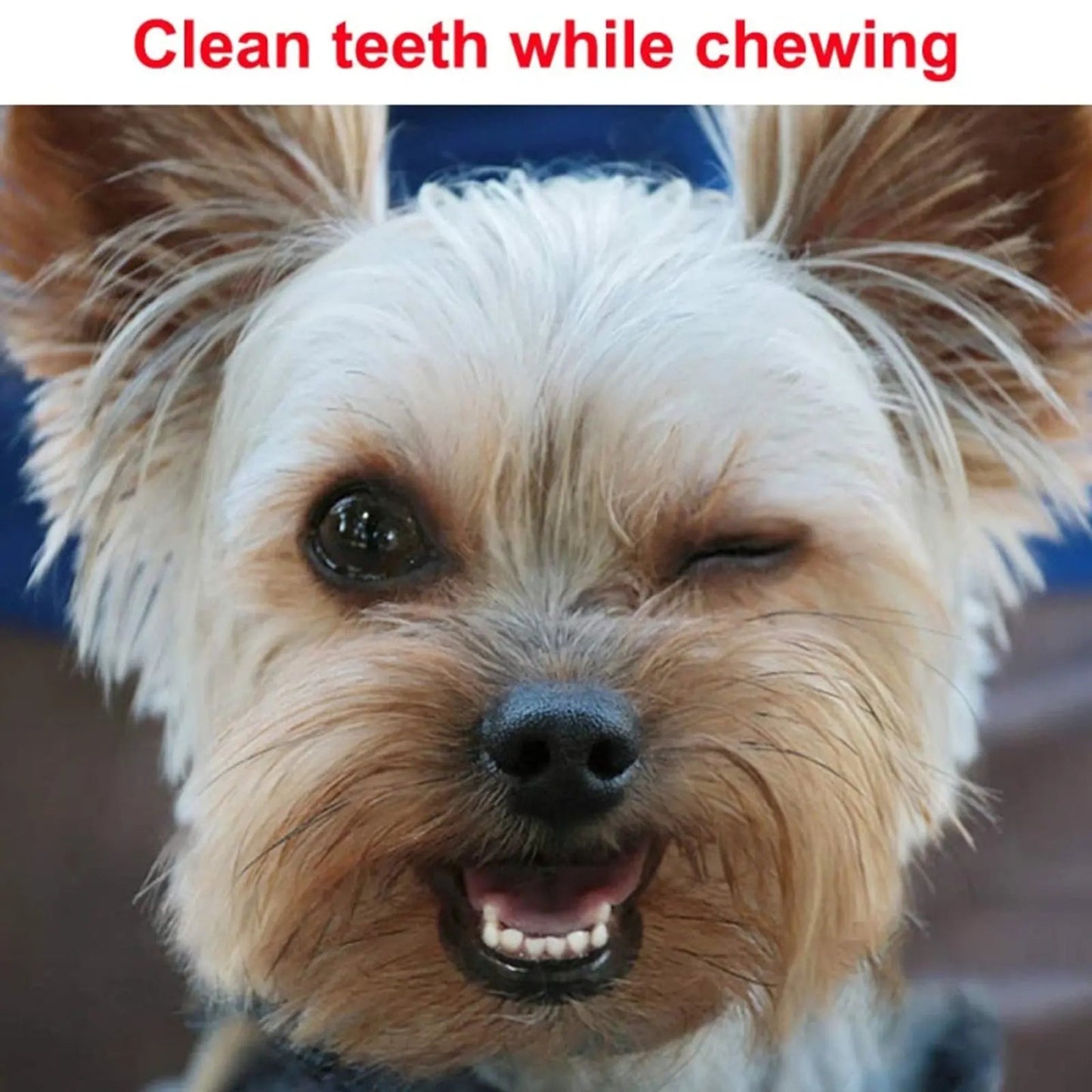 Puppy Ten Teething Boredom Toys available at Adorable Pet Supply.