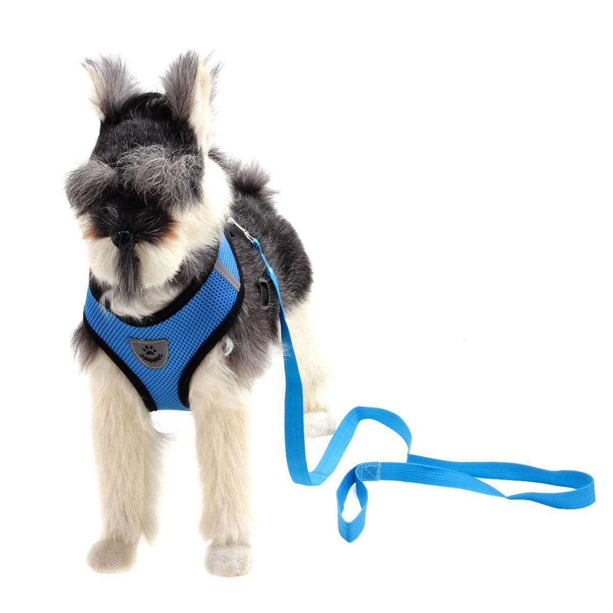 A colorful expandable harness and leash combo available at Adorable Pet Supply.