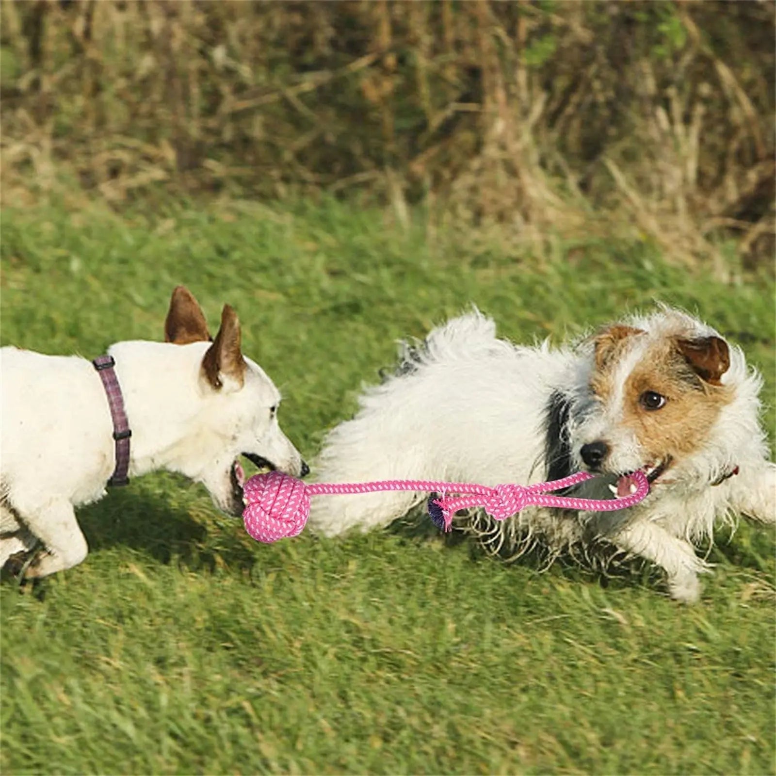 Puppy Ten Teething Boredom Toys available at Adorable  Pet Supply.