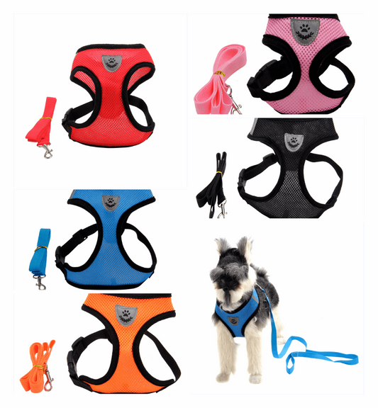 A colorful expandable harness and leash combo available at Adorable Pet Supply.
