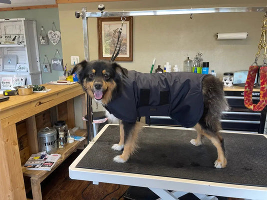 Country Canine Mini-Size Dog Coats