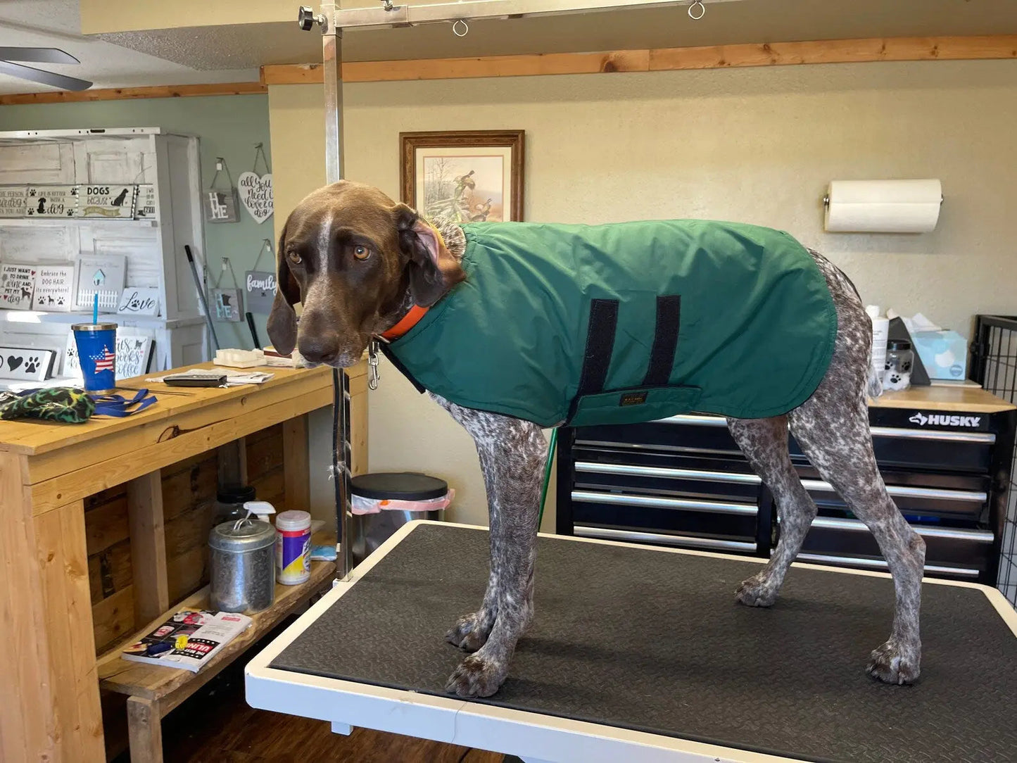 Country Canine Dog Coats - (Fits 40 -175 lbs)