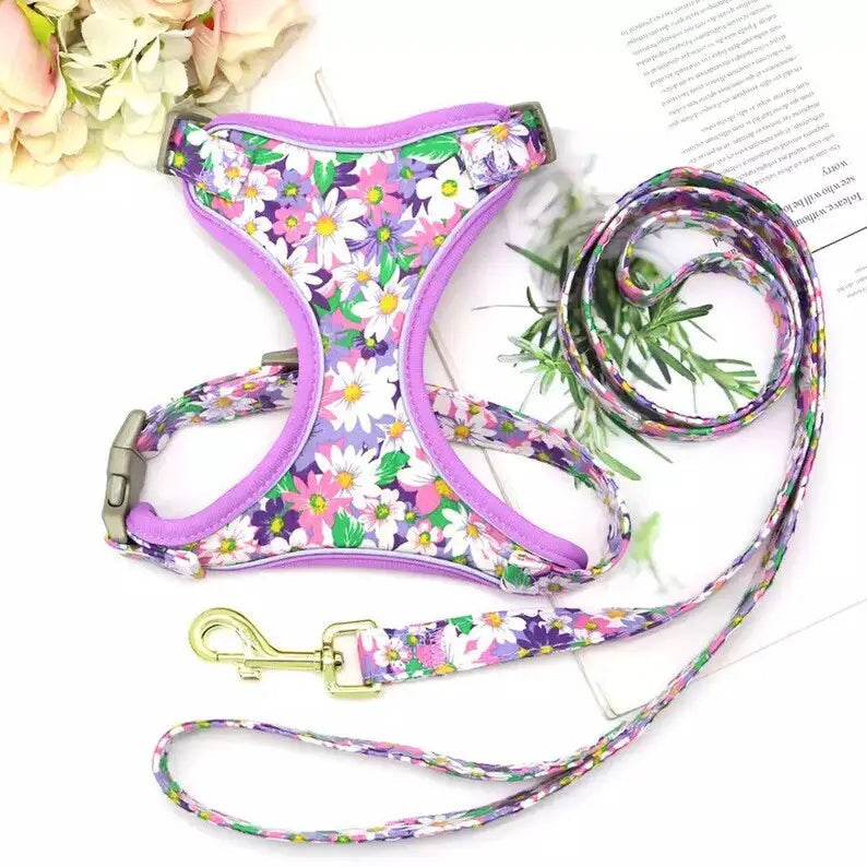 A Floral Dog Harness Set available at Adorable Pet Supply.
