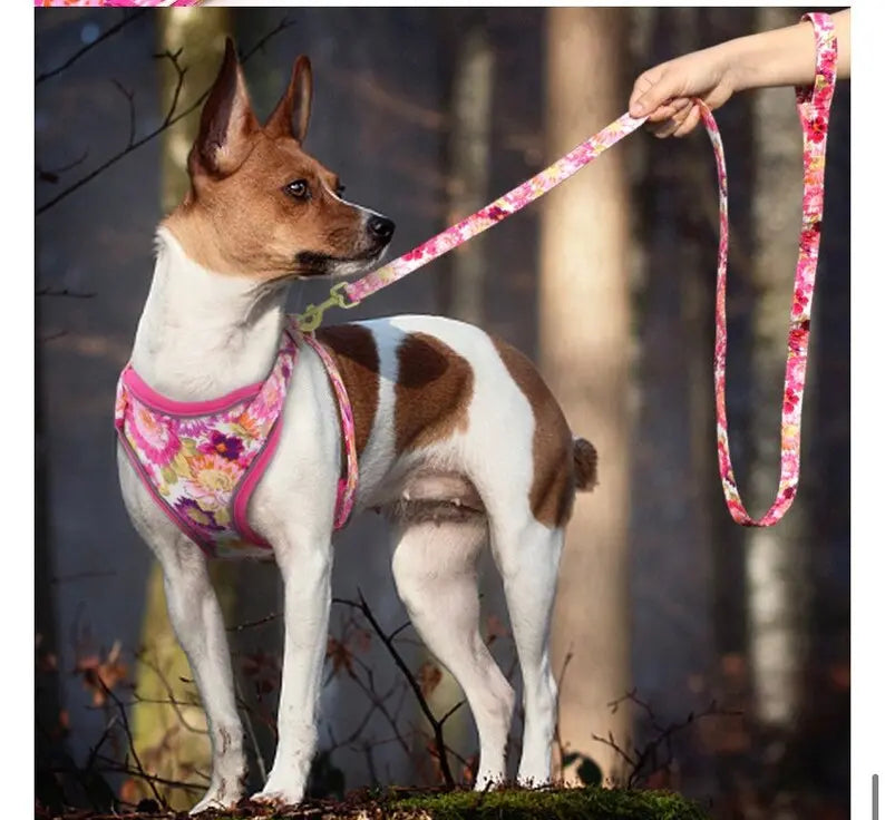 A Floral Dog Harness Set available at Adorable Pet Supply.