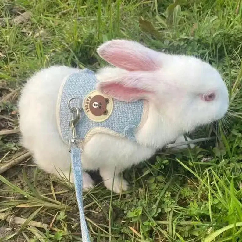 Adjustable Rabbit Harness | Harness and Leash Set