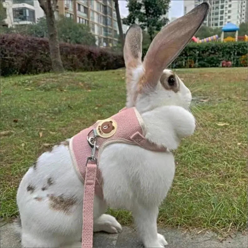 Adjustable Rabbit Harness | Harness and Leash Set