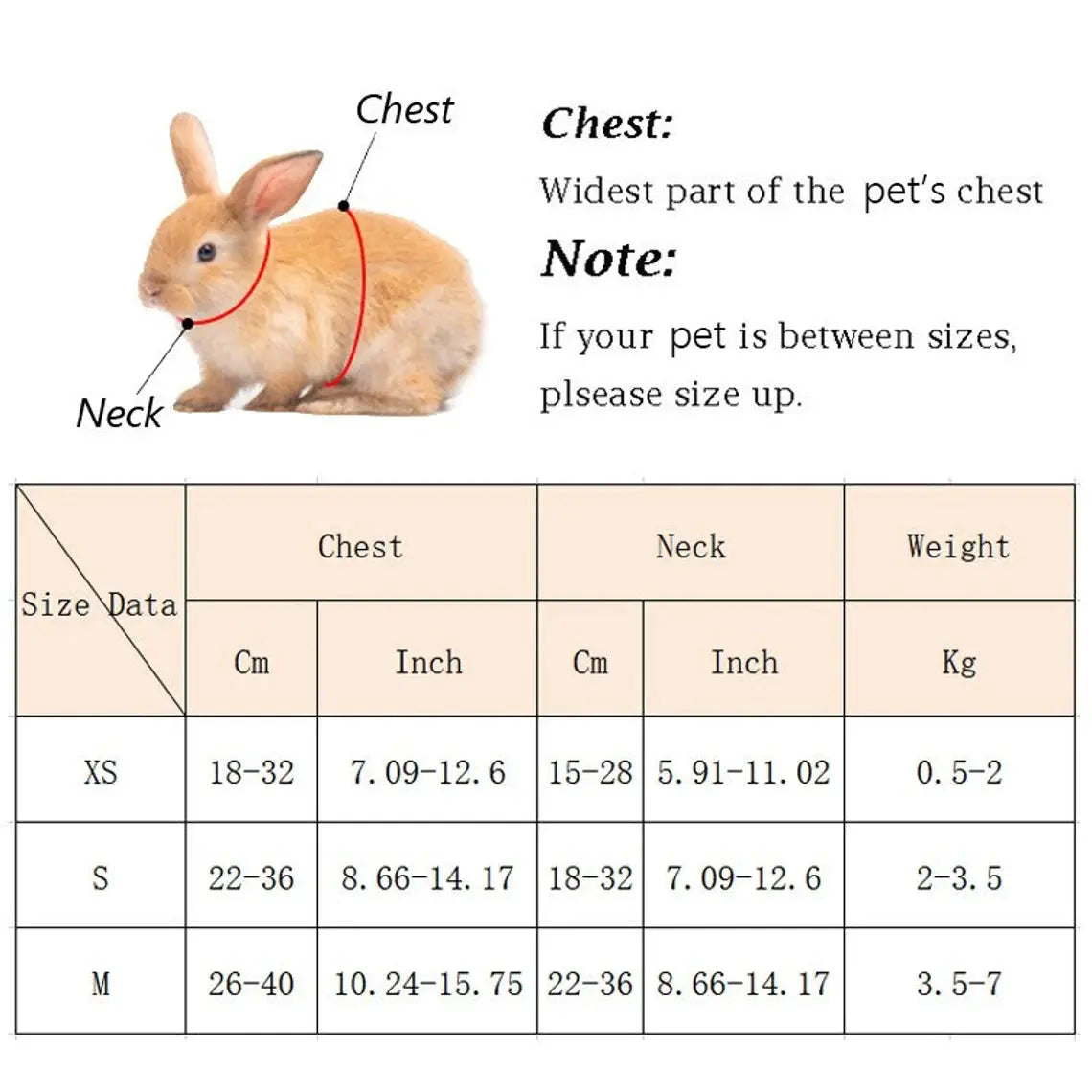 Angel Wing Harness | Rabbit Leash and Harness