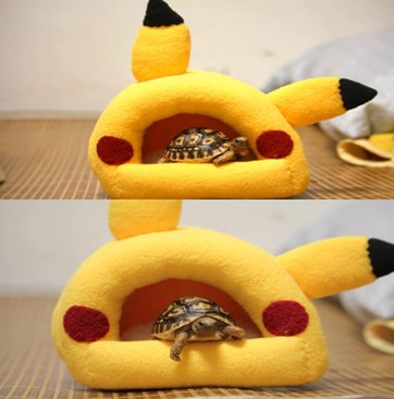 A Yellow Cow hideout canbe purchase at Adorable Pet Supply.