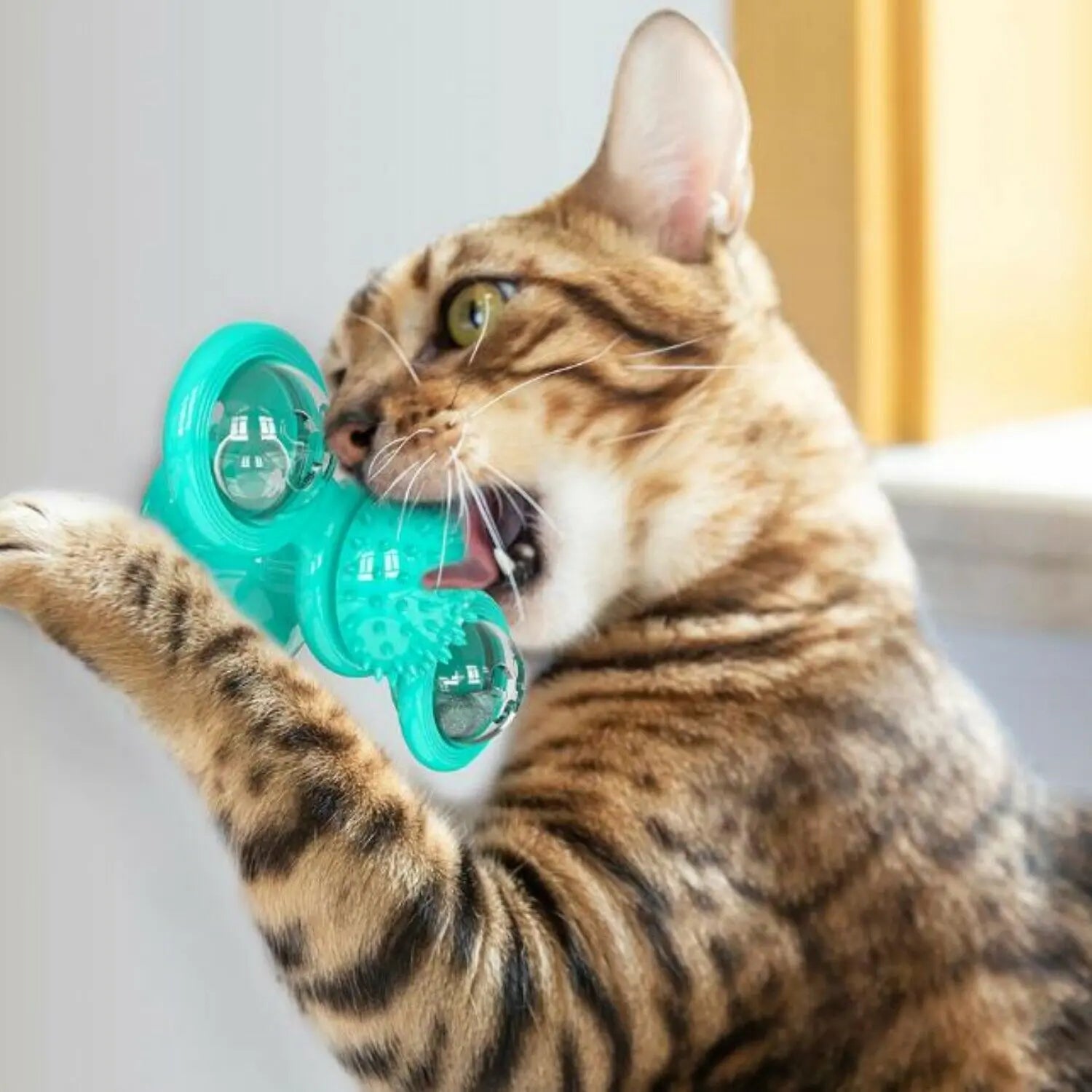 Windmill Fidget Spinner Cat LED Toy is available at Adorable Pet Supply.
