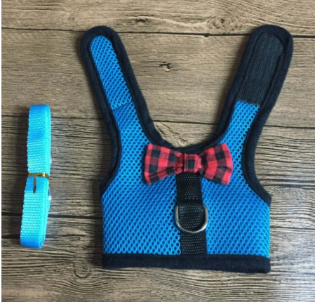 The cutest rabbit vest and leash is available at Adorable Pet Supply.