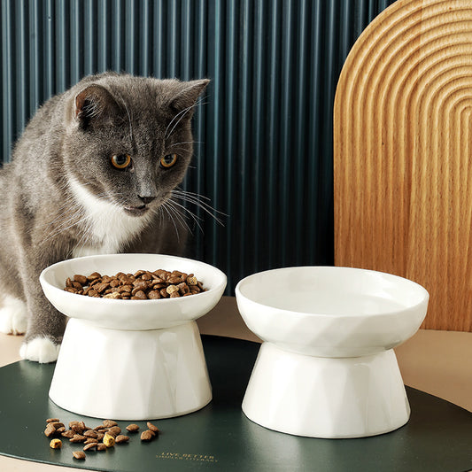 Ceramic Cat Bowl