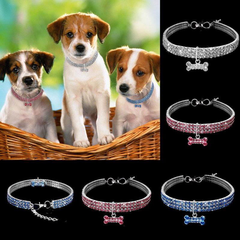 Rhinestone Dog Collars | Bling Dog Collars